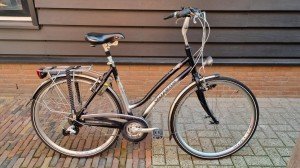 Gazelle Bahia 0000